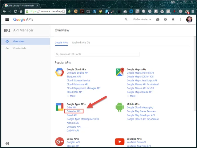Google API Developer Console